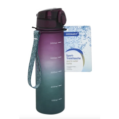 Sports water bottle 600 ml petrol berry