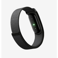 FITBIT Google Fitbit Air Fitness Tracker