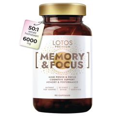 Ginkgo Biloba 6000 mg per capsule (50:1 extract) high dose - with ashwagandha and vitamin B complex
